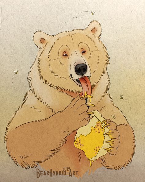 Bear Eating Illustration, Bear Cartoon Images, Grizzly Bear Drawing, Cartoon Bears, Bear Eating, Bear Honey, Sun Bear, Reference Ideas, Animal Illustration Art