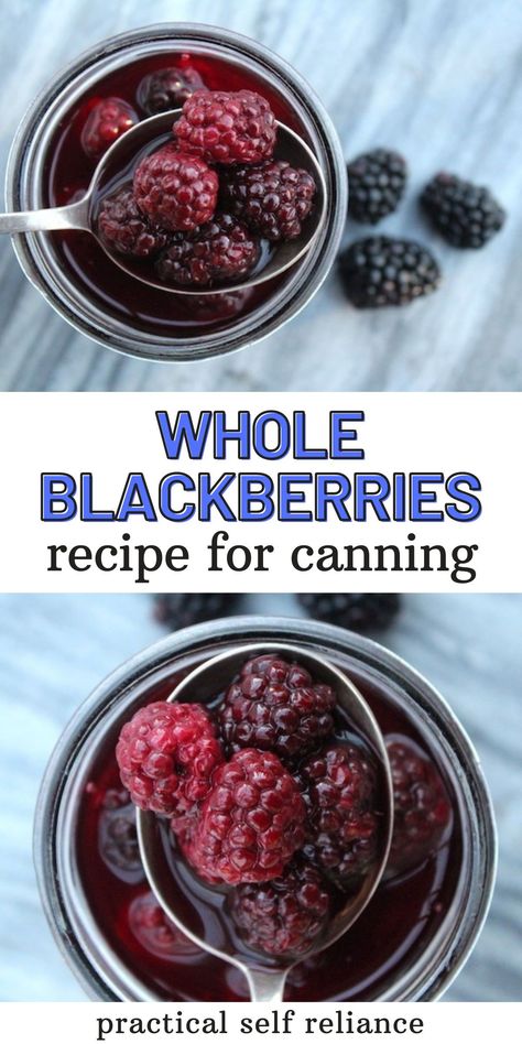 Canning Blackberries Whole: Canning Fruit Recipes - If you're looking for canning recipes for blackberries, you've found the right one. Perfect for your next batch of blackberry jam or blackberry muffins, canned blackberries keep a firm texture and taste like fresh blackberries after months in the pantry. how to can blackberries | how to can whole blackberries Canned Blackberries, Chili Canning Recipe, Canning Syrup, Canning Blackberries, Canning Fruit Recipes, Canning Apple Pie Filling, Preserving Fruit, Blackberry Muffins, Preserving Vegetables