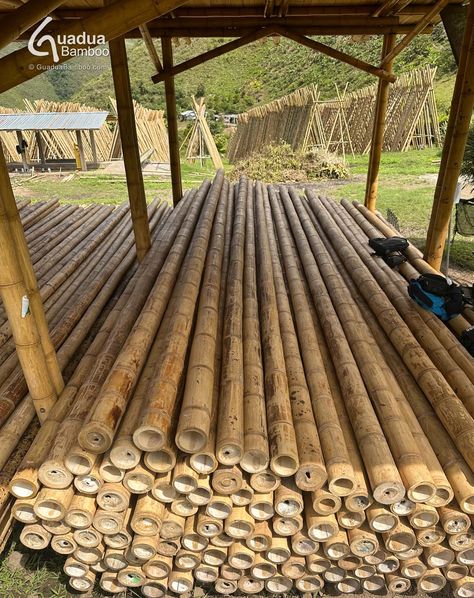 Wholesale Grade A 🎋 Guadua Bamboo® Poles, mature, cleaned, treated, straight, no cracks. Only available at: https://www.guaduabamboo.com/bamboo-poles Architecture, Bamboo Construction, Bamboo Architecture, Bamboo Poles, Cob House, Earthship, Cabins And Cottages, Bamboo, Cottage