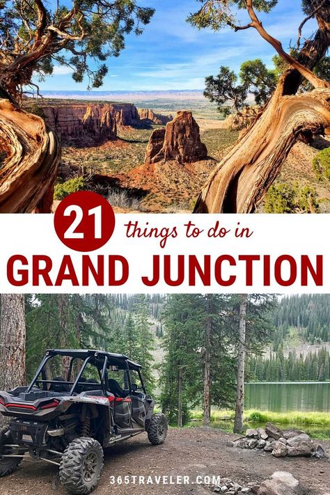 Montrose Colorado Things To Do, Grand Junction Co, Unique Things To Do In Colorado, Things To Do In Grand Junction Colorado, Grand Mesa Colorado, Grand Junction Colorado Things To Do, Colorado Springs Things To Do, Fairplay Colorado, Colorado Family Vacation