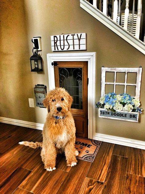 Doodle dog door! Dog Decor | Dog Home Decor | Dog Room Ideas | Dog Signs | Dog Lovers | Dog Mom | Dog Dad | Dog Parents | Dog Nook #dogdecor #doghome  #dogmom Dog Under Stairs, Lakehouse Design, Under Stairs Dog House, Dog Nook, Dog Room Decor, Dog Bedroom, Puppy Room, Indoor Dog House, Dog Corner