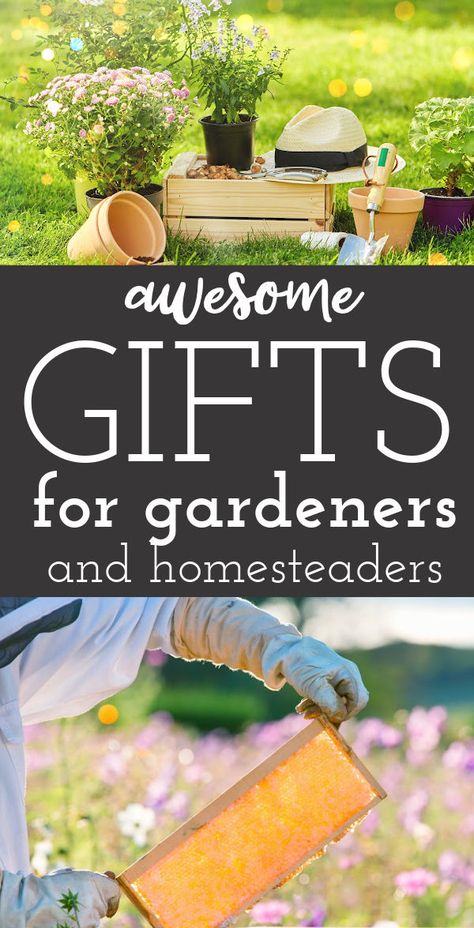 Gardening tools and a person in a beekeeping suit with text "Awesome gifts for gardeners and homesteaders" Gifts For Homesteaders, Gardener Gift Ideas, Homestead Gifts, Gifts For The Gardener, Gift Ideas For Gardeners, Gifts For Gardeners, Gardening Gifts, Hobby Gifts, Self Sufficient