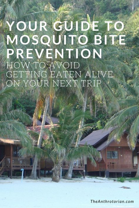 How to prevent mosquito bites when travelling, avoid mosquito bites, travel tips, travel diseases, travel safety, adventure travel tips, do i need to worry about mosquitos, tips for humid climates Prevent Mosquito Bites, Eaten Alive, Mosquito Bites, Solo Travel Tips, Mosquito Bite, Travel Safety, The Hard Way, Inspirational People, Packing Tips