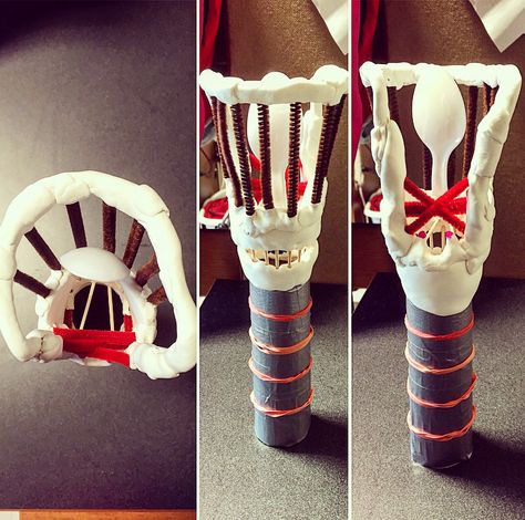 A model of a Larynx for my anatomy class. Includes the cricoid, thyroid, hyoid, epiglottis, arytenoids, corniculates, and intrinsic muscles :D Speech Language Pathology Quotes, Larynx Model, Med School Study, Animal Adaptations, Literacy Coaching, Anatomy Models, Human Body Systems, Speech Therapy Resources, Learning Methods