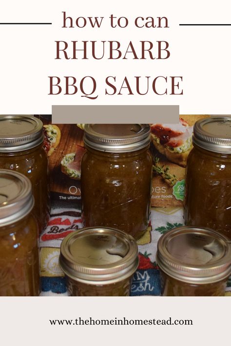 Rhubarb BBQ Sauce - Savory Rhubarb Sauce