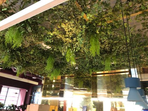 Fake Plant Ceiling Decor, Ceiling Covered In Plants, Faux Greenery Ceiling, Flower Ceiling Restaurant, Faux Plant Ceiling, Hanging Plant Ceiling, Fake Plant Ceiling, Fake Vines On Ceiling, Plant Ceiling Decor