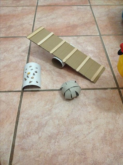 Hamster or hermit crab Diy toys! Diy Hamster Toys, Hamster Diy Cage, Diy Bunny Toys, Gerbil Toys, Rabbit Diy, Hamster Diy, Hamster Life, Hamster Habitat, Diy Pet Toys