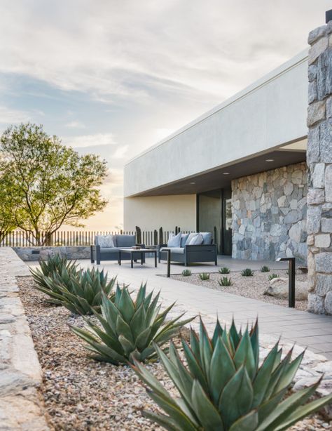 Front Years Landscape Ideas, Cactus Landscaping Front Yards, Cactus Patio, Desert Landscaping Backyard, Desert Landscape Design, Desert Backyard, Contemporary Landscape Design, Living Pool, Modern Backyard Landscaping