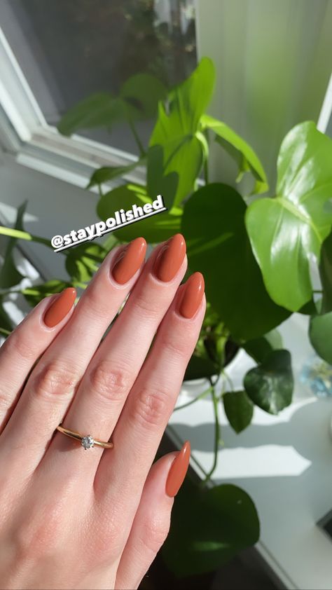 Nail Inspo Autumn 2022, Fall Nails 2022 Burnt Orange, Fall Nail Colors 2023 Orange, Orange Neutral Nails, Autumn Nails Solid Colors, Almond Nails Burnt Orange, Pink Nails Powder Dip, Fall Nails Rusty Orange, Classy Boss Lady Nails