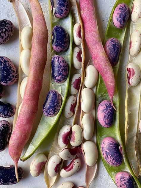 Aesthetic Veggies, Beans Aesthetic, Beans Plant, Beans Food Photography, Beans In Weird Places, Kinds Of Beans, Stuffed Shells, Fresh Veggies, Fruit And Veg