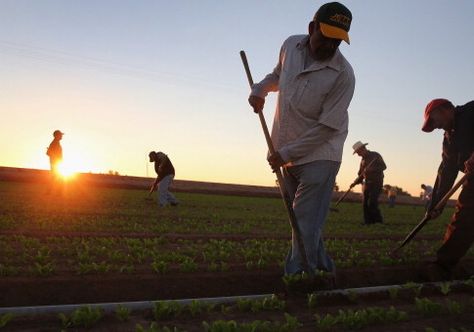 Gerawan Farm Workers Shed Union Dietary Guidelines, Labor Movement, Farm Workers, American Diet, Labor Union, Labor, Subjects, Leadership, Healthy Living