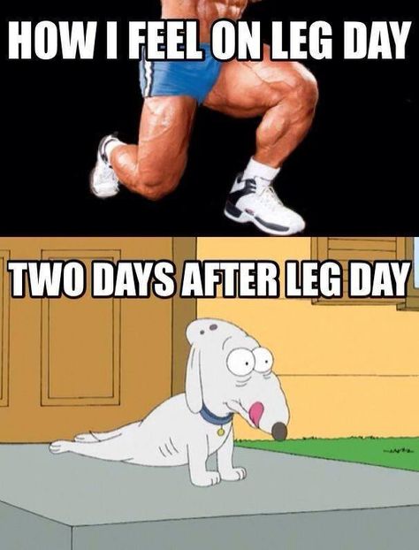 25 Hilarious After Leg Day Meme | SayingImages.com Leg Day Memes, Leg Day Humor, After Leg Day, Bodybuilding Memes, Crossfit Humor, Gym Humour, Gym Funny, Fitness Funny, Health Memes