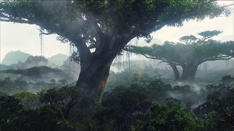 #Avatar #nature #Pandora #wood #1080P #wallpaper #hdwallpaper #desktop Avatar Tree, Avatar Film, Pandora Avatar, Avatar Movie, Avatar World, Bhutan, Legend Of Korra, Avatar The Last Airbender, Nature Aesthetic