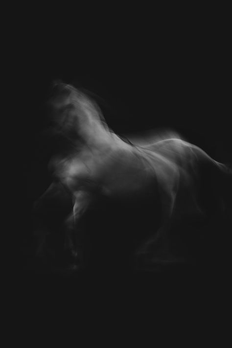 A ghost stallion, dancing through free space. Not bound to the laws of the physical universe. Free and wild, without being held back, he is enjoying the movement. He looks as being craved out of marble and yet not existing of molecules. He is truly created of the power of imagination. Equine fine art | long exposure photography | black and white | mystic horse photography | horse art | dark wall art | horse lover | white horse aesthetic Dark Black And White Photography, Black Horse Aesthetic, Creative Horse Photography, Black Horse Art, White Horse Aesthetic, Taps Design, Dark And Moody Photography, Dark Moody Aesthetic, Spirit Wallpaper