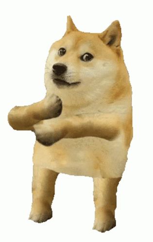 Cool Doge Dog Dance Sticker - Cool Doge Cool Dog Dog Dance - Discover & Share GIFs Doge Wallpapers, Doge Gif, Cheems Dog, Cheems Doge, Dogs Stickers, Dog Dancing, Dog Dance, Doge Dog, Dance Funny