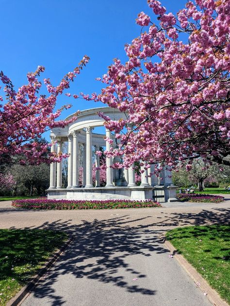 Spring, cherry blossom, light Academia Cardiff University Aesthetic, Cardiff Wales Aesthetic, Cardiff Aesthetic, Cardiff Uni, Wales Country, Uni Vibes, Learn Welsh, 2024 Manifestation, European Bucket List