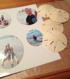 How To Paint Sand Dollars, Decoupage Sand Dollars, Sanddollar Ornaments Diy, Diy Sand Dollar Crafts, Sand Dollar Art Ideas, Sand Dollar Ideas, Sand Dollars Crafts, Sand Dollar Christmas Ornaments Diy, Broken Sand Dollar Crafts