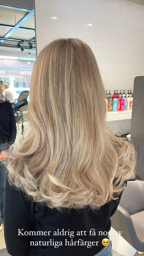 Cold Toned Blonde Hair, Dust Blonde Hair, Blonde Balayage Layers, Blowout Hair No Layers, Biscuit Beige Blonde Hair, Cold Blonde Hair Balayage, Blonde Hair Colour, Sandy Beige Blonde Hair Balayage, Neutral Beige Blonde Hair