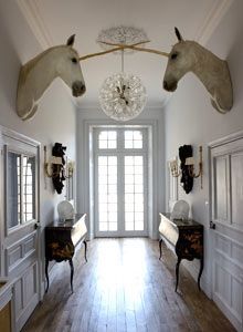 Unicorn Decor, Taxidermy Art, Unicorn Decorations, Wooden Floors, Horse Head, Eclectic Decor, Taxidermy, My Dream Home, Future House