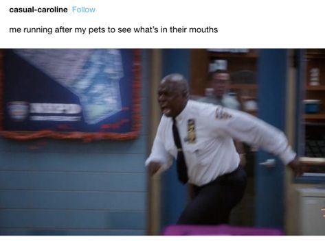 29 "Brooklyn Nine-Nine" Jokes Only Obsessed Fans Will Understand Humour, Captain Holt, Jake Peralta, Gina Rodriguez, Terry Crews, Get A Girlfriend, Laughing Jack, Brooklyn 99, Reaction Face