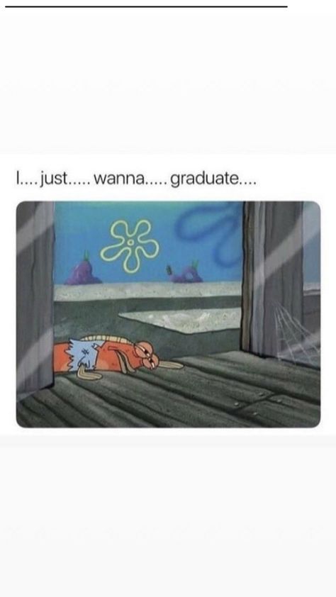 Graduation Meme, School Diploma, High School Diploma, Cute Jokes, Jokes Pics, School Memes, Class Of 2020, Mood Humor, Funny Reaction Pictures