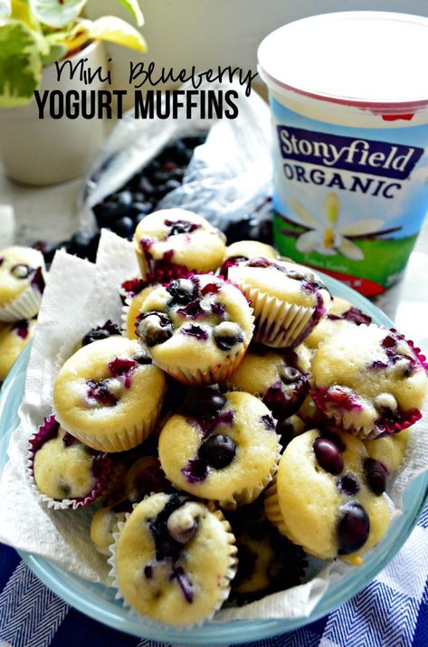 Stonyfield Yogurt, Blueberry Yogurt Muffins, Mini Blueberry Muffins, Muffins For Breakfast, Toddler Muffins, Baby Muffins, Blueberry Yogurt, Yogurt Muffins, Yogurt Flavors