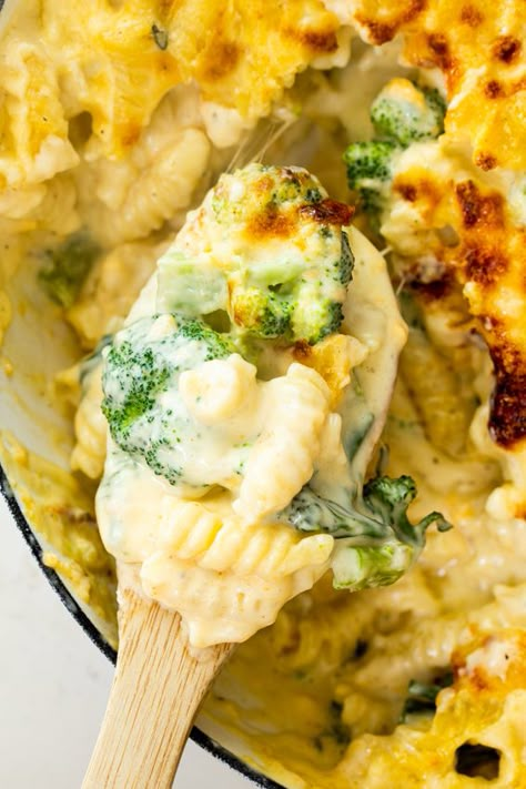 Broccoli Cheddar Pasta, Cheese And Broccoli Pasta, Cheddar Pasta, Pasta Bake Vegetarian, Cheese Pasta Bake, Broccoli Pasta Bake, Broccoli Cheddar Chicken, Broccoli Pasta Recipe, Cheese Broccoli