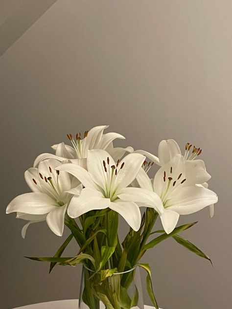 Aesthetic Rose, Lilly Flower, Lily Bouquet, Boquette Flowers, Nothing But Flowers, Flower Therapy, Beautiful Bouquet Of Flowers, White Lilies, Exotic Flowers