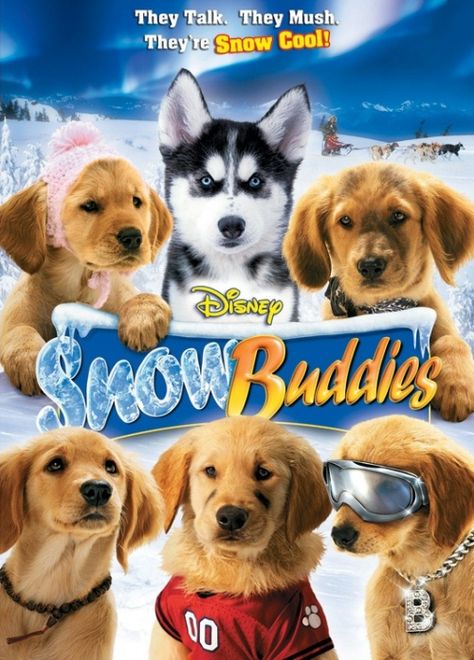 Air Buddies Movies, Air Buddies, Buddy Movie, Air Bud, Snow Buddies, Walt Disney Movies, Alaska Adventures, Dog Movies, Kids Movies