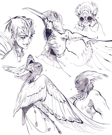 ArtStation - Talon - 3DTotal Character Design Winged People, Bird People, Hybrid Art, Perspective Drawing Lessons, Book To Read, Drawing Examples, Putao, Monster Concept Art, Creature Drawings