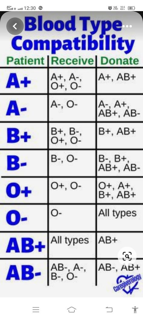 Blood Type Chart, Type Chart, Blood Types, Biology Facts, Medical Student Study, Medical Facts, Medical School Inspiration, Nursing School Notes, Medical School Studying