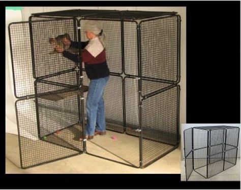 Cat Cages Indoor, Cool Cat Beds, Outdoor Cat Tunnel, Diy Cat Enclosure, Ferret Cage, Cat Fence, Cat Ownership, Cat Patio, Cat Kennel