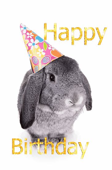 Happy birthday images with Rabbits Happy Birthday Animals, Birthday Bunny, Birthday Party Places, Bunny Birthday Party, Happy Birthday Meme, Bunny Birthday, Birthday Meme, Happy B Day, Birthday Gif