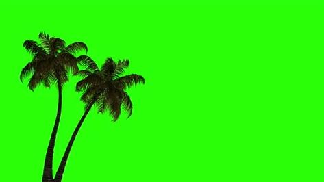 Trees In The Wind, Lego Hotel, Tropical Island Beach, Green Screen Backgrounds, Best Friends Aesthetic, Beach Ready, The Wind, Stock Footage, Stock Video