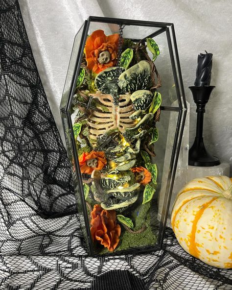 ⚰️⚰️⚰️✨New glass coffin terrarium for all you spooky decor lovers! 💀 Available now! threadandbonetx.etsy.com #oddities #halloween #terrarium #terrariumdesign #taxidermy #butterfly #witch #witchaesthetic #spooky #halloweendecor #diycrafts #crystals #halloweendisplay #halloweencrafts Coffin Halloween Decor, Coffin Terrarium, Butterfly Witch, Halloween Terrarium, Glass Coffin, Coffin Halloween, W.i.t.c.h Aesthetic, Halloween Displays, Spooky Decor