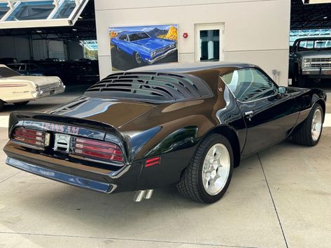 1976 Pontiac Firebird Trans Am for Sale | ClassicCars.com | CC-1842125 Palmetto Florida, Trans Am For Sale, Smokey And The Bandit, Pontiac Firebird Trans Am, Pontiac Cars, Firebird Trans Am, American Icons, Sell Car, Trans Am