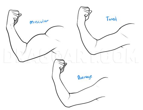 Abs Step By Step Drawing, Hand On Chest Reference Drawing, Muscle Base Drawing, Make Anatomy Drawing, How To Draw Belly Rolls, Muscle Study Reference, Multiple Arms Pose Reference, How To Draw Pecs, Metal Arm Drawing Reference