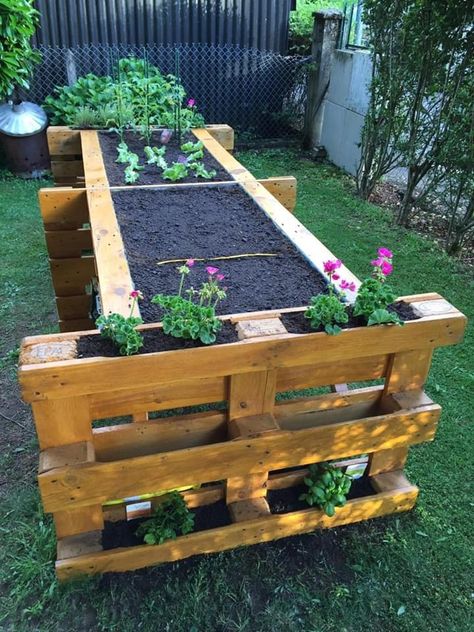 Pallet Projects Garden, Diy Balcony, Apartment Plants, Pallet Planter, Diy Raised Garden, Raised Garden Beds Diy, Garden Decor Projects, Apartment Diy, Smart Garden