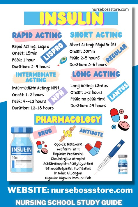 NCLEX Cheat Sheet
Insulin Study Guide
Nursing School Study Guide
Nursing School Freebie Insulin Nursing, Nursing School Essential, Nursing Study Guide, Nurse Study, Nursing School Motivation, Nclex Study, Nursing Mnemonics, Nurse Study Notes, Nursing Student Tips