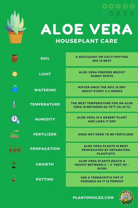 Aloe Vera Plant Care, Aloe Plant Care, Aloe Vera Care, Aloe Vera Benefits, Houseplant Care, Plant Care Houseplant, Aloe Plant, Aloe Vera Plant, Magic Garden