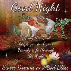 Goodnight Prayer, Good Night Sister, Evening Blessings, Good Night Blessings Quotes, Good Night Family, Have A Great Evening, Goodnight Wishes, Good Night Prayer Quotes, Blessed Night