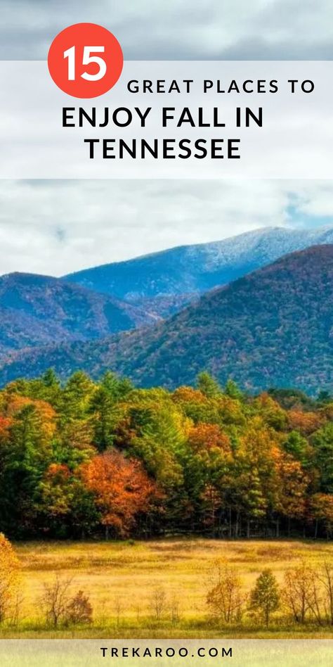 15 Great Places to Enjoy Fall Foliage in Tennessee Fall In Tennessee, Tennessee Fall, Natchez Trace Parkway, Natchez Trace, Tennessee Travel, Fall Vacations, Leaf Peeping, Scenic Byway, Road Trip Planning