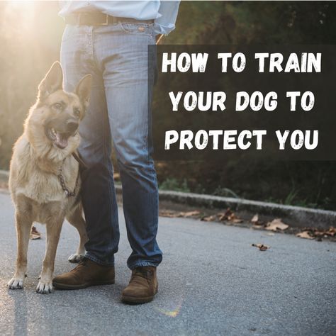 Protection Dog Training, Personal Protection Dog, Train A Dog, Puppy Obedience Training, K9 Training, Dog Commands, Dog Behavior Training, Dog Training Advice, Dog Training Techniques