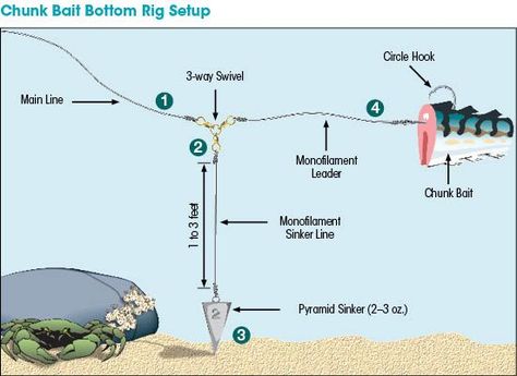 Saltwater Rigging Basics | New Hampshire Saltwater Fishing ... Surf Fishing Tips, Surf Fishing Rigs, Pesca In Mare, Bottom Fishing, Salt Water Fishing, Bass Fishing Tips, Fishing Rigs, Surf Fishing, Fishing Techniques