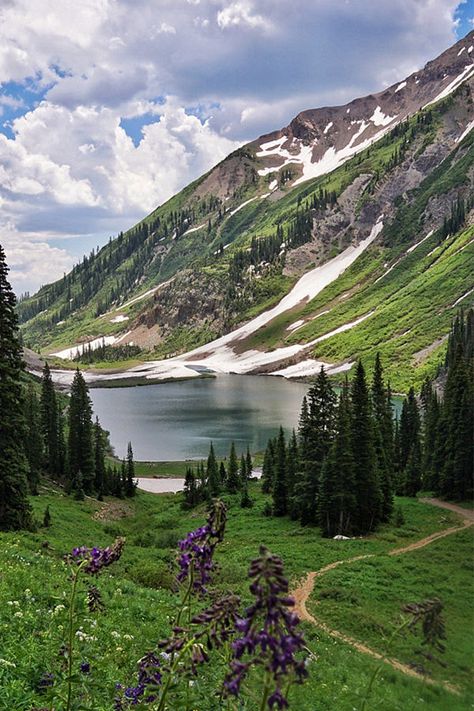 Emerald Lake Crested Butte, Emerald Lake Colorado, Gunnison Colorado, Crested Butte Wedding, Colorado Wildflowers, Colorado Trail, Road Trip To Colorado, Colorado Trip, Colorado Fall