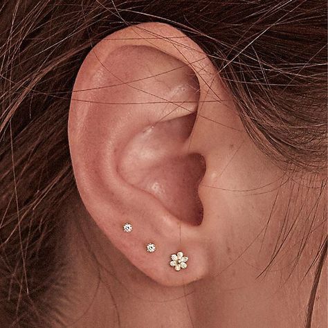 Two Pierced Ears Earrings, Side Ear Piercing, Ear Piercings Women, Ear Piercings Studs, Lobe Piercing Ideas, Cute Septum Rings, Side Earrings, Multiple Piercings Earrings, Minimalist Ear Piercings