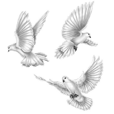 Duif tattoo Two Doves Drawing, Tattoo Crane, Pigeon Tattoo, Dove Drawing, Dove Tattoo Design, Vogel Tattoo, Dove Tattoos, Heaven Tattoos, Dove Tattoo