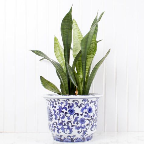 Blue Chinoiserie Small Porcelain Planter/Ice Bucket | Ross-Simons French Chinoiserie, Chinoiserie Planter, Porcelain Planter, Blue Chinoiserie, White Planters, Chinoiserie Chic, Outdoor Pots, Blue Pottery, Decorative Planters