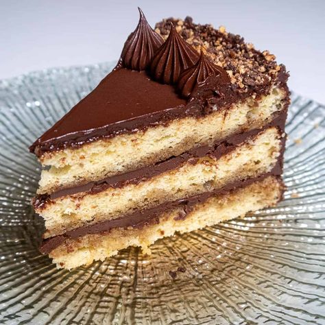 Gianduja Cake, Hazelnut Dessert, Cake Pastries, German Foods, Hazelnut Cake, Cake Fillings, Holiday Cakes, Pastry Cake, Chocolate Hazelnut