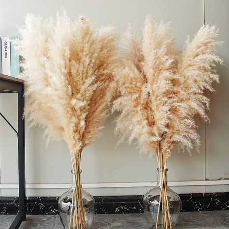 Bannifll 40-inch Natural Pampas Grass Decor Tall with 10 Stems. Perfect for Weddings, Parties, Farmhouse, and Boho Home Decor. : Amazon.co.uk: Home & Kitchen Grass Wreath, Modern Industrial Decor, Pampas Grass Bouquet, Dried Pampas, Pampas Grass Decor, Grass Decor, Kitchen Counter Decor, Feather Decor, Popular Decor